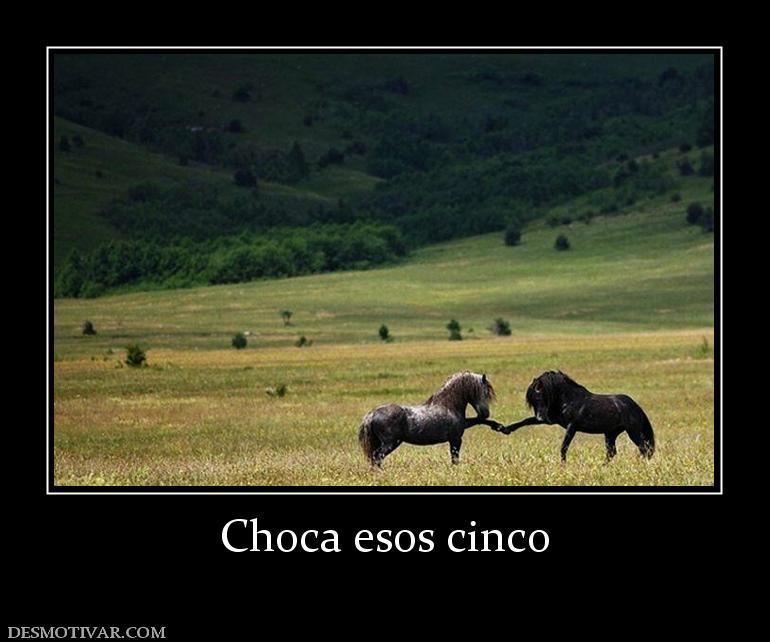 Choca esos cinco