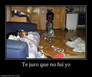 Te juro que no fuí yo