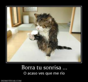Borra tu sonrisa ... O acaso ves que me río