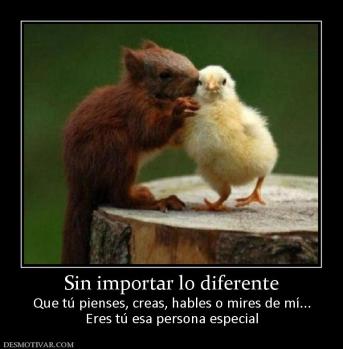 Sin importar lo diferente Que tú pienses, creas, hables o mires de mí... Eres tú esa persona especial