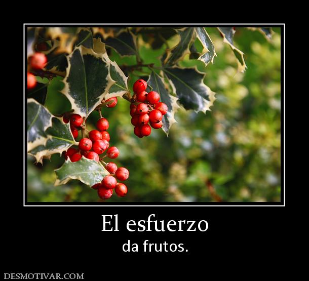 El esfuerzo da frutos.