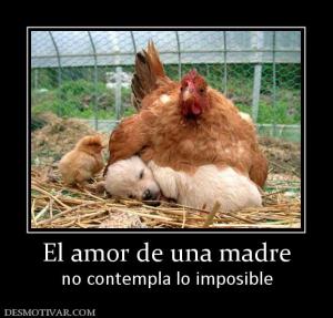 El amor de una madre no contempla lo imposible