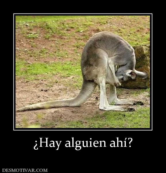 ¿Hay alguien ahí?