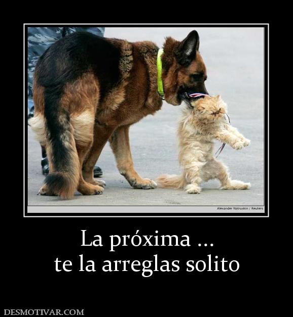 La próxima ... te la arreglas solito
