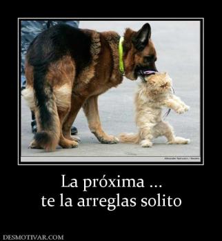 La próxima ... te la arreglas solito