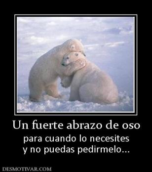 Un fuerte abrazo de oso para cuando lo necesites y no puedas pedirmelo...