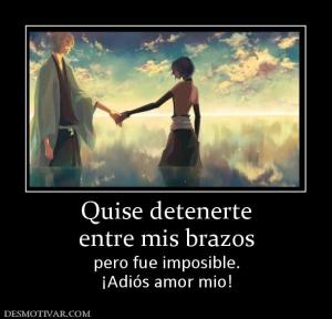 Quise detenerte entre mis brazos pero fue imposible. ¡Adiós amor mio!