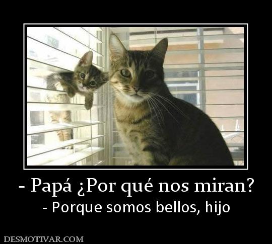 - Papá ¿Por qué nos miran? - Porque somos bellos, hijo