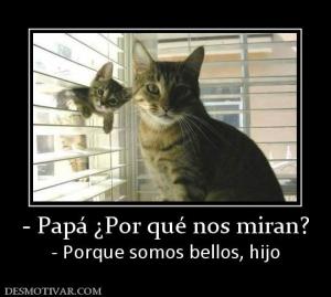- Papá ¿Por qué nos miran? - Porque somos bellos, hijo