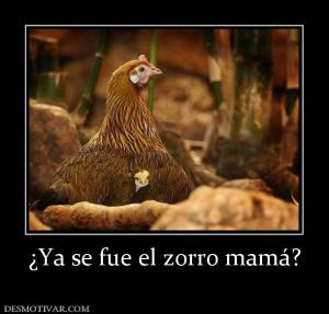 ¿Ya se fue el zorro mamá?