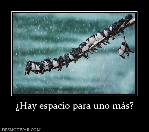 ¿Hay espacio para uno más?