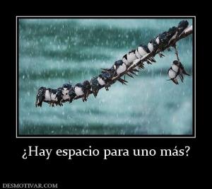 ¿Hay espacio para uno más?