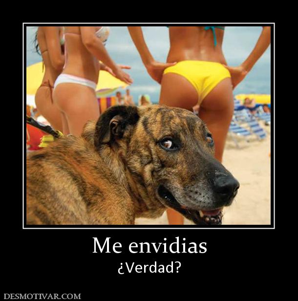 Me envidias ¿Verdad?