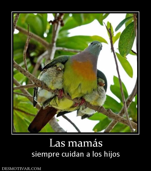 Las mamás siempre cuidan a los hijos
