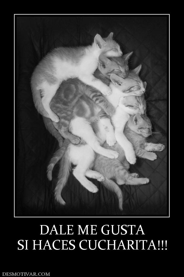 DALE ME GUSTA SI HACES CUCHARITA!!!