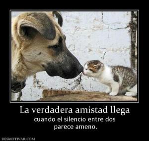La verdadera amistad llega cuando el silencio entre dos  parece ameno.