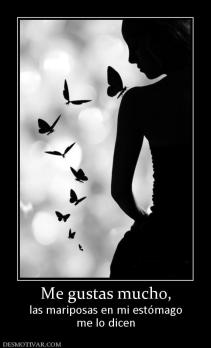 Me gustas mucho, las mariposas en mi estómago me lo dicen