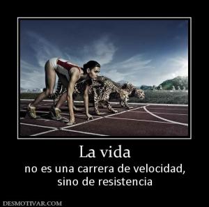 La vida no es una carrera de velocidad, sino de resistencia