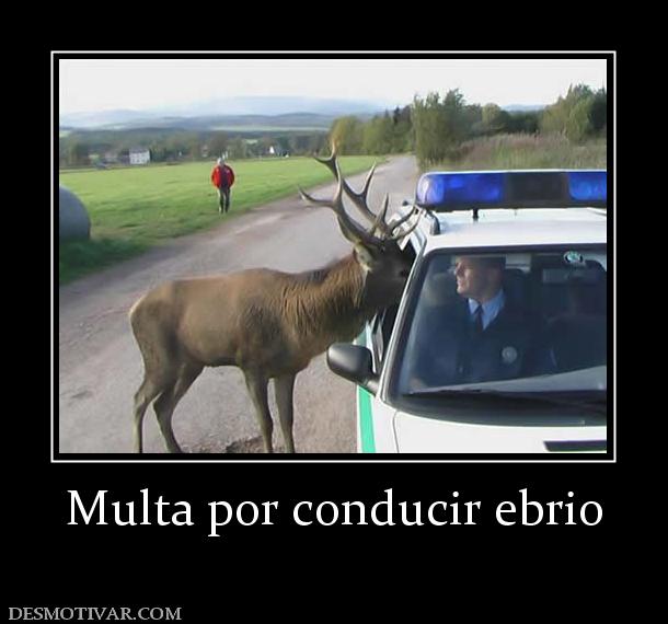 Multa por conducir ebrio