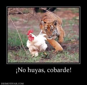 ¡No huyas, cobarde!