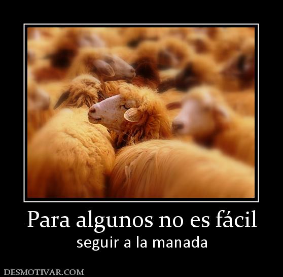 Para algunos no es fácil seguir a la manada