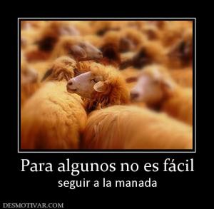 Para algunos no es fácil seguir a la manada