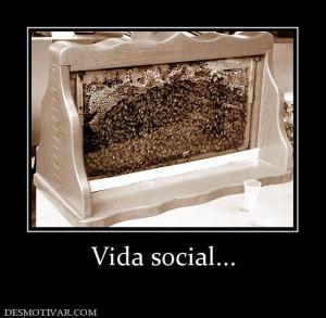 Vida social...