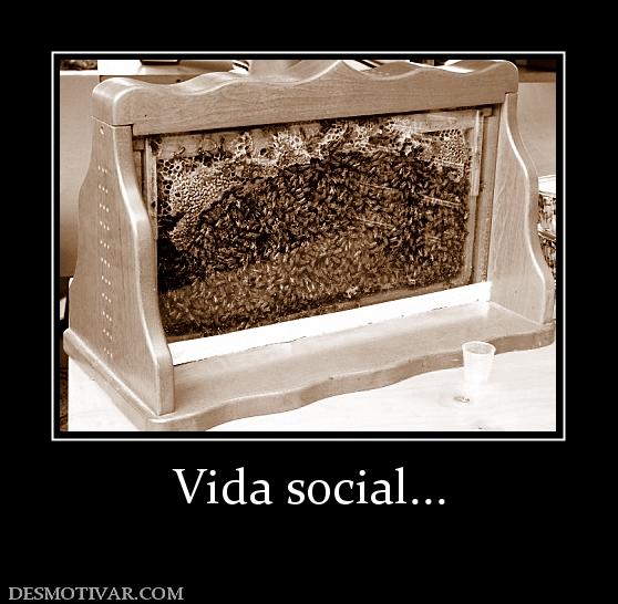 Vida social...