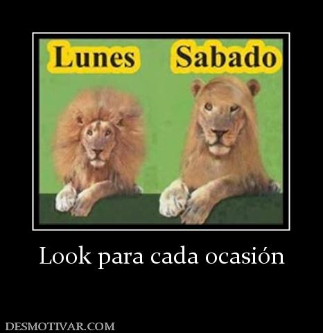 Look para cada ocasión