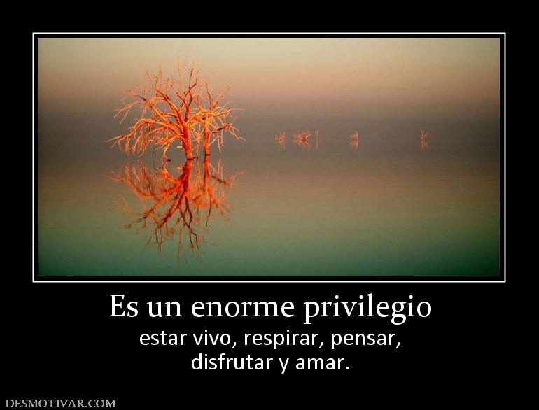Es un enorme privilegio estar vivo, respirar, pensar, disfrutar y amar.