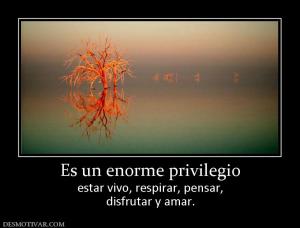 Es un enorme privilegio estar vivo, respirar, pensar, disfrutar y amar.