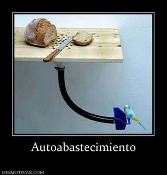 Autoabastecimiento