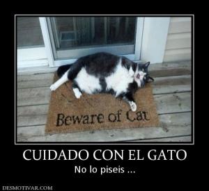 CUIDADO CON EL GATO No lo piseis ...