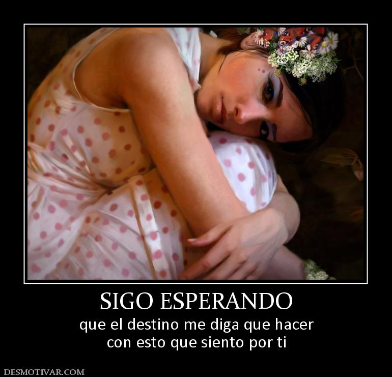 SIGO ESPERANDO que el destino me diga que hacer con esto que siento por ti