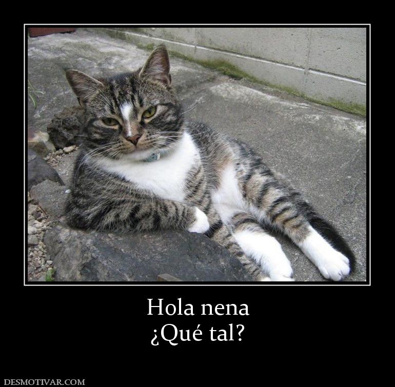 Hola nena ¿Qué tal?