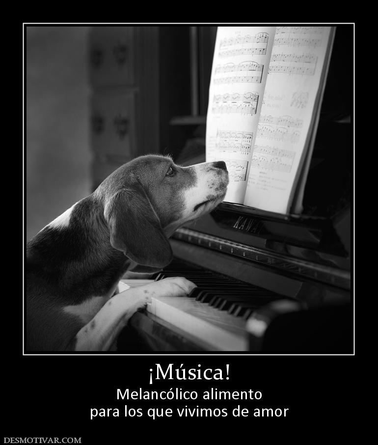 ¡Música! Melancólico alimento para los que vivimos de amor
