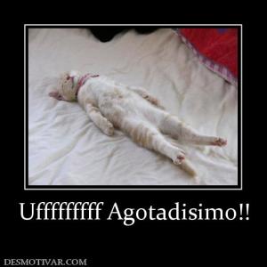 Ufffffffff Agotadisimo!!