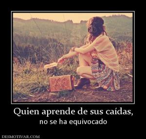 Quien aprende de sus caídas, no se ha equivocado