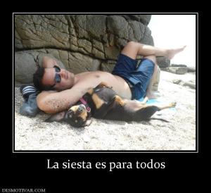 La siesta es para todos