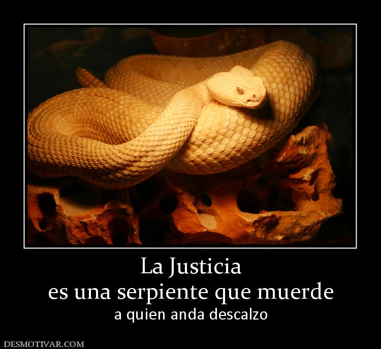 La Justicia es una serpiente que muerde a quien anda descalzo