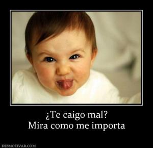 ¿Te caigo mal? Mira como me importa