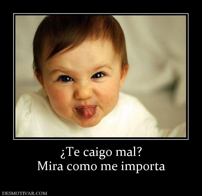 ¿Te caigo mal? Mira como me importa