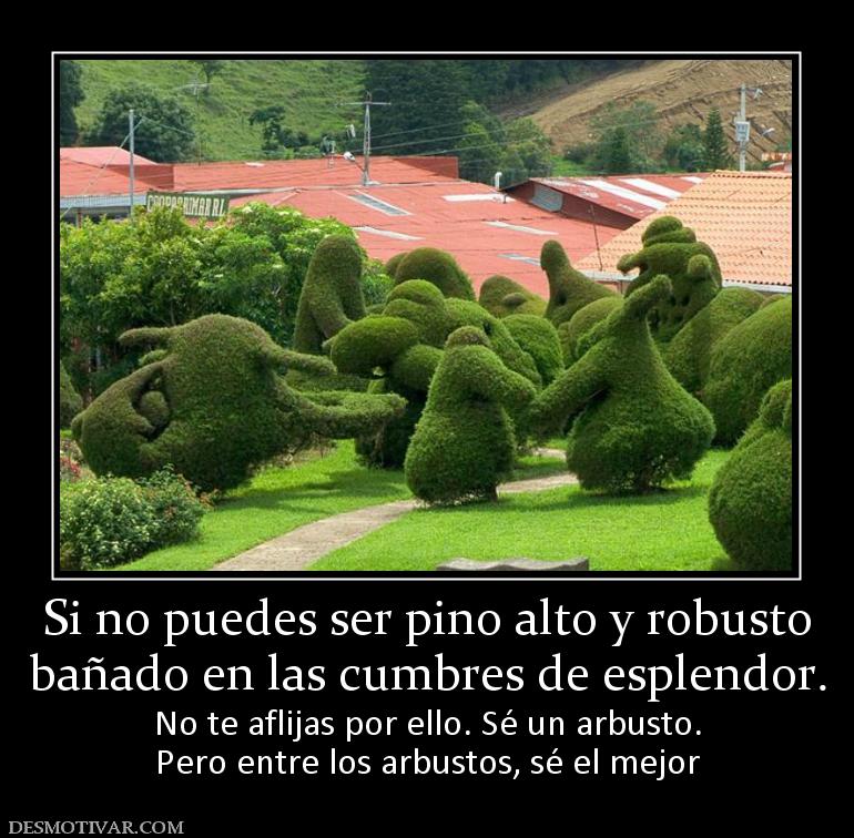 Si no puedes ser pino alto y robusto bañado en las cumbres de esplendor. No te aflijas por ello. Sé un arbusto. Pero entre los arbustos, sé el mejor