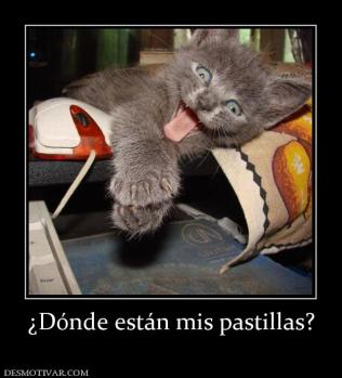 ¿Dónde están mis pastillas?