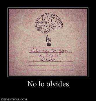 No lo olvides