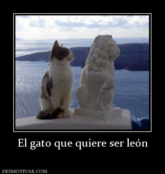 El gato que quiere ser león