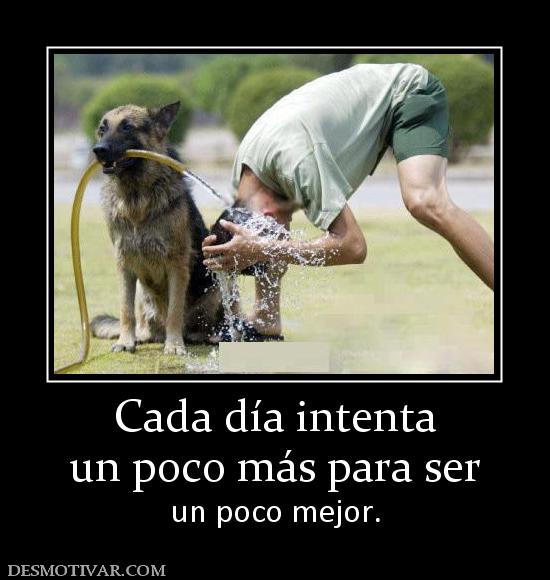 Cada día intenta un poco más para ser  un poco mejor.
