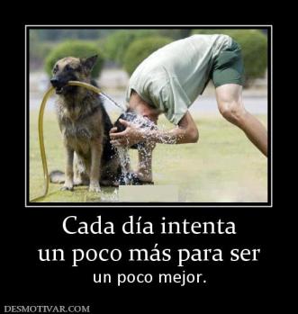 Cada día intenta un poco más para ser  un poco mejor.