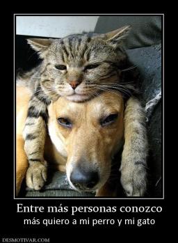 Entre más personas conozco más quiero a mi perro y mi gato