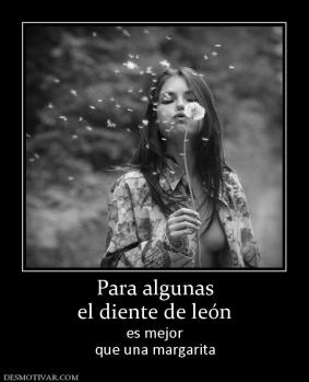 Para algunas el diente de león es mejor que una margarita